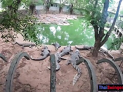 Crocodiles Munching And Thai Gf Cumming With Cherry Lee