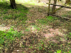 seins battant dans la forêt