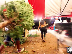 oh weihnachtsbaum