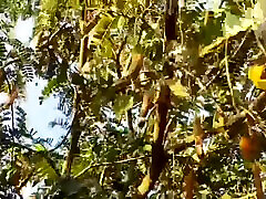 Bengali sex valentin nappi boobs story so romantic .