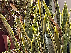 On my terrace, resting from the working day.