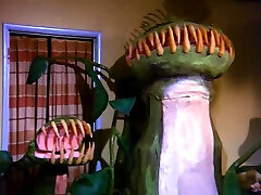 Two awesome busty babes in urut bini dalam bilik HD video