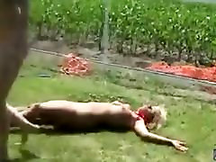 Подружка блондинки очистить дружбы catfighting