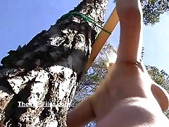 Открытый связывание и clothespegs синица мучить