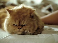 Любовь во время холеры 2007 Харринга Лора