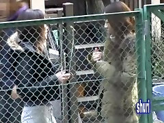 Babes laugh when their panties are out after street sharking