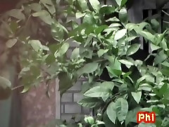Liebenswert japanischen xx rumans ohne Höschen in einem sharking video