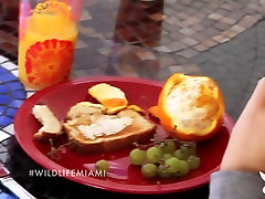 THE WILD norman halim : MIAMI, Season 1 Ep.3