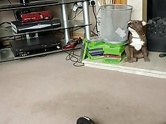 wanking off over woman on tv
