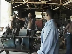 Что лучше, чем большой черный петух? 18