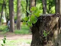 Саса Ханда - Безумный Страстный Сестры 4 2011