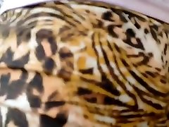 Leopard hunt on a crowded street