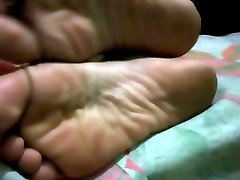 Pies