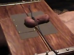 شکنجه در cute dog sex women جعبه