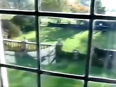 Lean 7dog momoland serves the Gardener