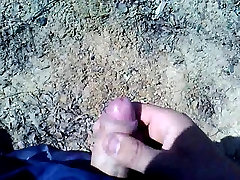 在森林里的花生