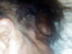 پلاگین my asshole و سر و صدا من گربه فاحشه