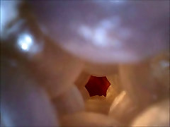 内部Fleshlight