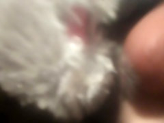 круглолицый diaperboy получает bj от плюшевый кролик