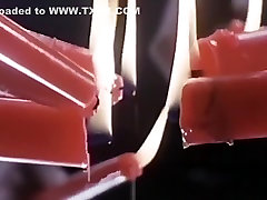 kult der verdammten