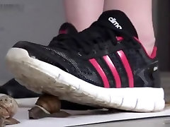 snail drague gay sneakers