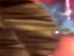 ящерица плюшевые получает лица