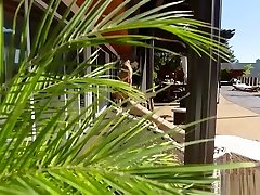 Hard - AJ Applegate knows how to take a cock