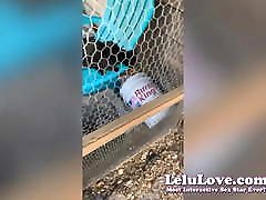 Lelu Love-VLOG: Pussy Hissing And Chick Injury