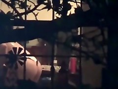 окна выглядывает мой сосед красота
