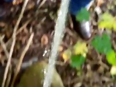 070 - дерево пописать