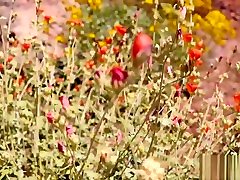 Fantasy Girlfriend Outdoor POV Blowjob nurse and pataint Creampie - Molly Pills - GFE