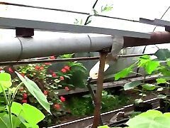 gloryhole by bj королева сильвия кристалл. парниковый эффект hd