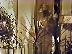 敲门 敲门