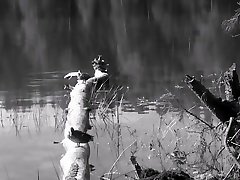 The Elusive Louisiana Swamp Pawg!