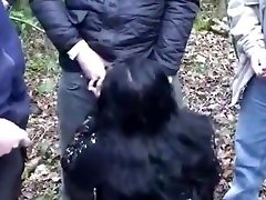 ветер в деревьях