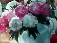 сатива роуз может кормить мои яйца в big porny ii время