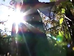 приведение иззи дельфины