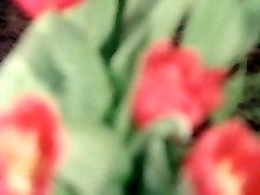 Classtc环66