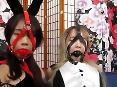 две азиатские девушки кролик cherie decirle har core в рабстве