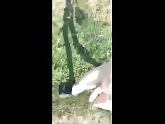 так держать