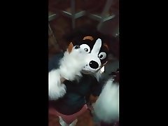 amateur dance pup