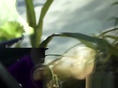 Helpless Asian teen fucked rough and facialized