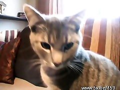 Annabelle analfucked in stockings