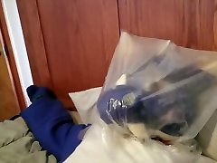 milkeing and bagged dragon