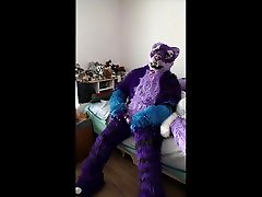 roovaaku have fun with his husky plushie again round one
