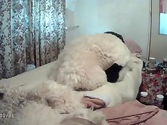 peluche, furbondage furlove