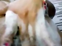 MasturbÃ¡ndose en la ducha