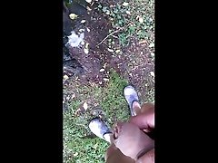 электромойка дерева с мочой