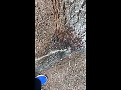 natur ruft pissen auf baum