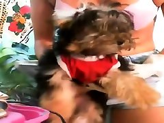 erotica bacolod милф тастик дрочит инструктор